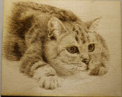 Картина лазерная гравировка