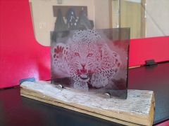 IMG 20140815 172618