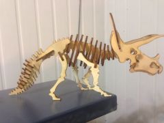IMG 1197