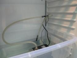 post-1406-0-07333400-1421689811_thumb.jp