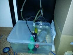 post-1656-0-12557500-1422975150_thumb.jp