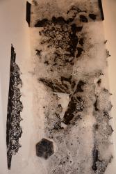 post-1286-0-87910400-1425283771_thumb.jp