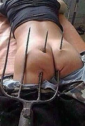 post-1028-0-14697500-1432049810_thumb.pn