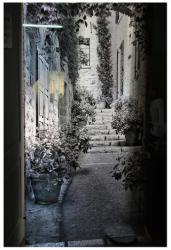 post-1905-0-97733000-1431596597_thumb.jp