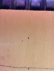 post-1913-0-82694000-1432171359_thumb.jp