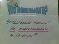 post-1036-0-31170000-1404540890_thumb.jp