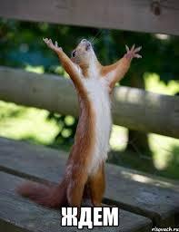 55bf3cc29d80e_3.thumb.jpg.93a119470ff620