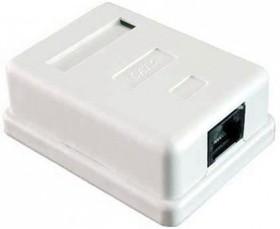 rj-45.jpg.3692dc2258a5166bfa18f8bcd4ef4e