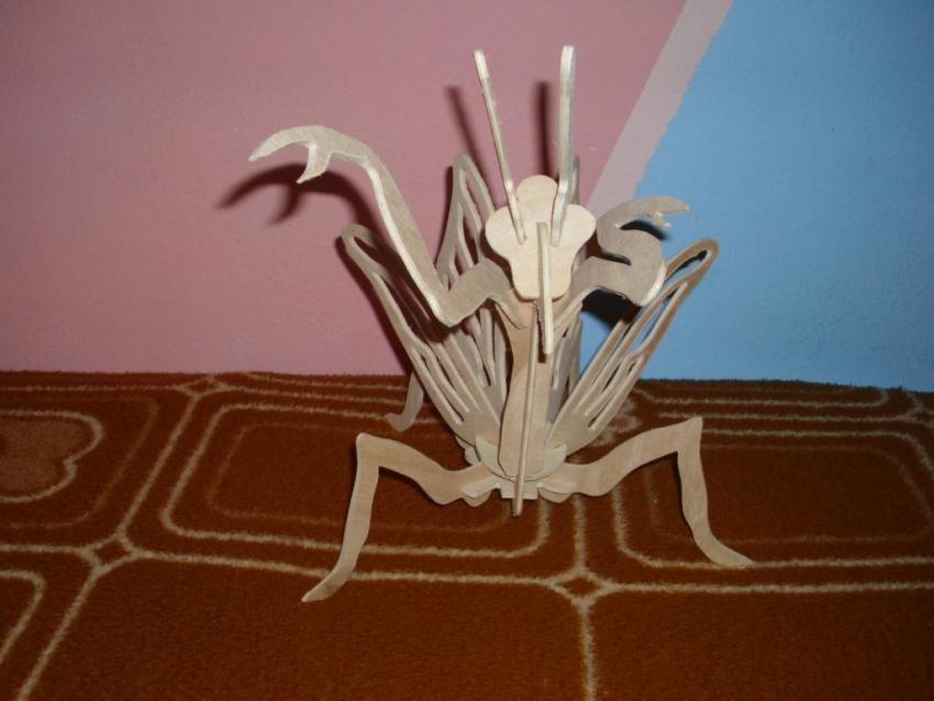 Bogomol.thumb.jpg.5e97ca1230a4d97c6aaa55