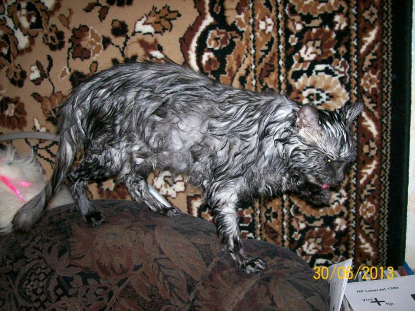 Месть будет страшной.jpg