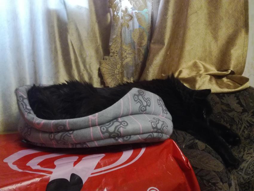 2020-04-19 18-40-43.JPG