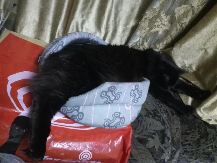 2020-04-19 23-44-20.JPG