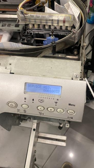 WhatsApp Image 2023-09-12 at 20.17.29.jpeg