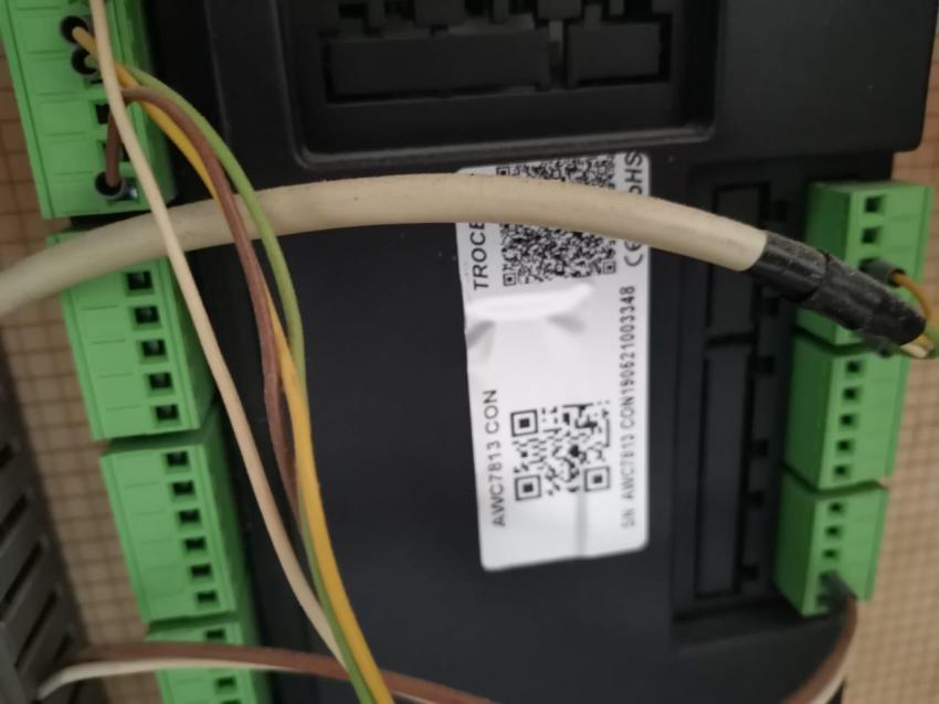 WhatsApp Image 2024-11-06 at 11.16.28.jpeg